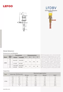 Valves de dérivation de décharge LFDBV