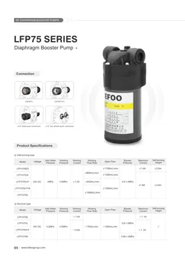 Série LEFOO 24V 75GPD